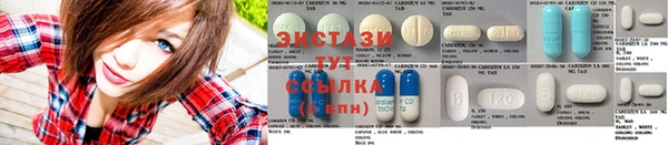 ECSTASY Заводоуковск
