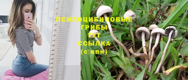 амф Заволжск
