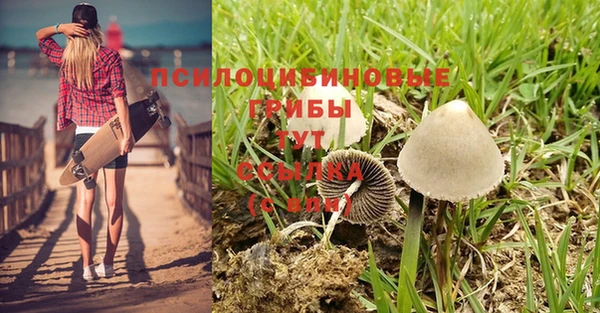 амф Заволжск