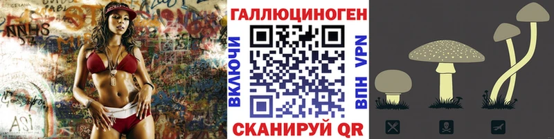 Псилоцибиновые грибы мицелий  Купить где  Нелидово 